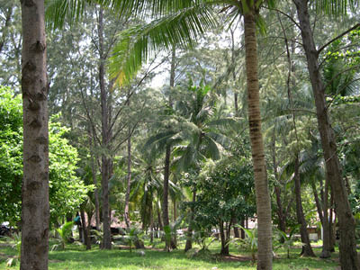 DSCN2643