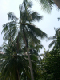 DSCN2723
