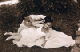 Image1-65
